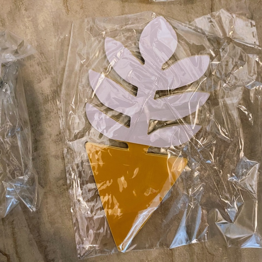 Sticky Gnat Traps Pack Of 20 Fun Assorted Natural Shapes Non-Toxic New - Picture 7 of 7